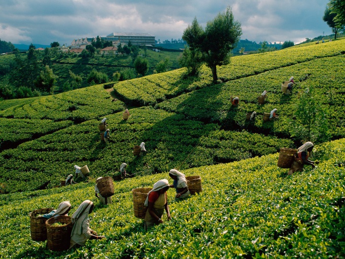 sri-lanka fotók