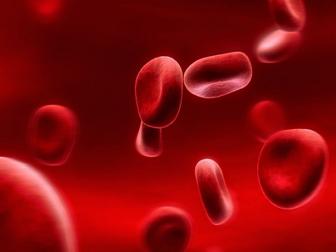 Hogyan csökkenthető a magas hemoglobin az idősekben?